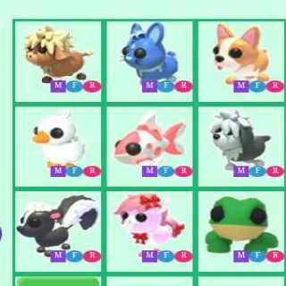 Mfr Bundle Pets