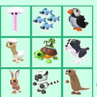 Exotic Pets Bundle
