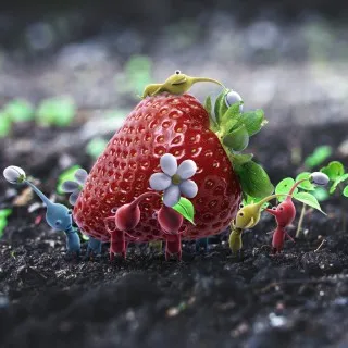 hAVoK Strawberry