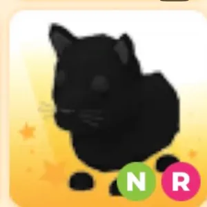 NR Black Panther