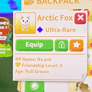Arctic Fox Full Grown