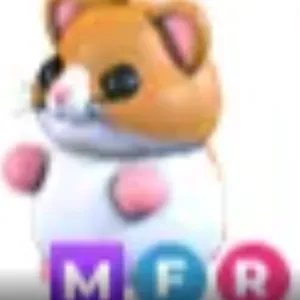 mfr hamster