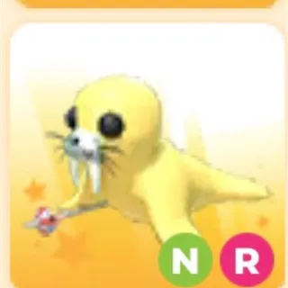 NR Golden Walrus