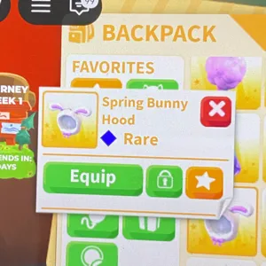 Spring Bunny Hood
