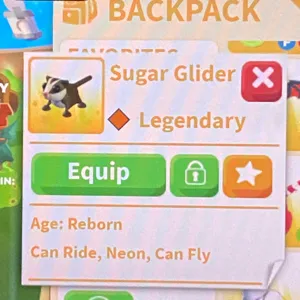 NFR Sugar Glider