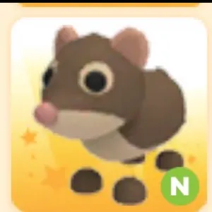 N Shrew