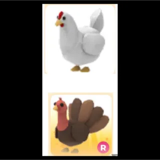 R Turkey & NoPot Chicken