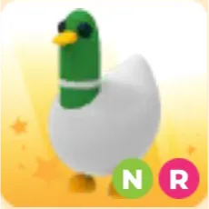NR Silly Duck