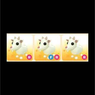 Goat x3