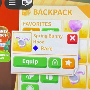 Spring Bunny Hood