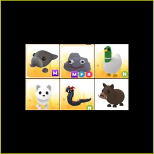 Pet Bundle x6