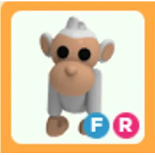 fr Albino monkey