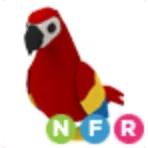 Pet | NFR Parrot