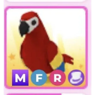 MFR PARROT ADOPT ME