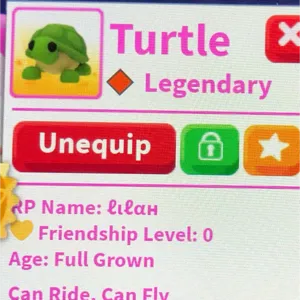 FR turtle