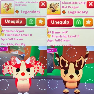 FR ssbd & FR ccbd bundle