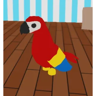 Full grown fr parrot