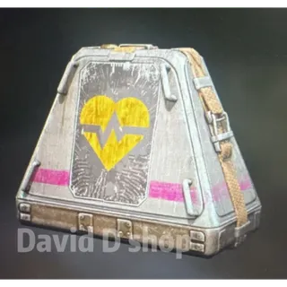 Looting MK.3 Survivor	*10 max durability			