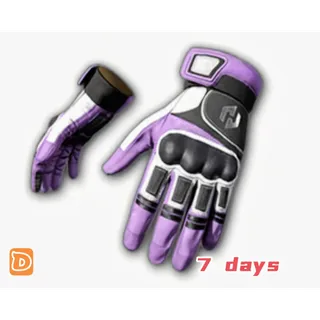 Heybox Gloves 7 Days