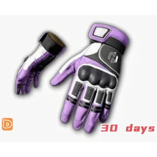 Heybox Gloves  30days