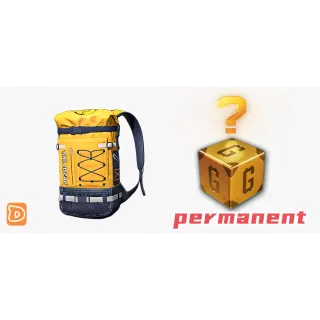 Steam Durable rubber backpack+G-coin(random value) permanent