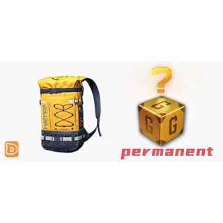 Steam Durable rubber backpack+G-coin(random value) permanent