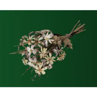 ARC Dead Flowers*1				 								 				