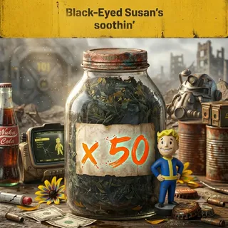 Black-Eyed Susan's soothin' x50