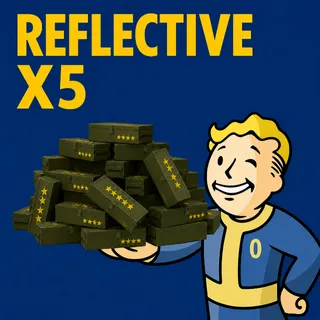 REFLECTIVE X5