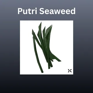 Putrid Seaweed