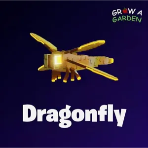 Dragon Fly