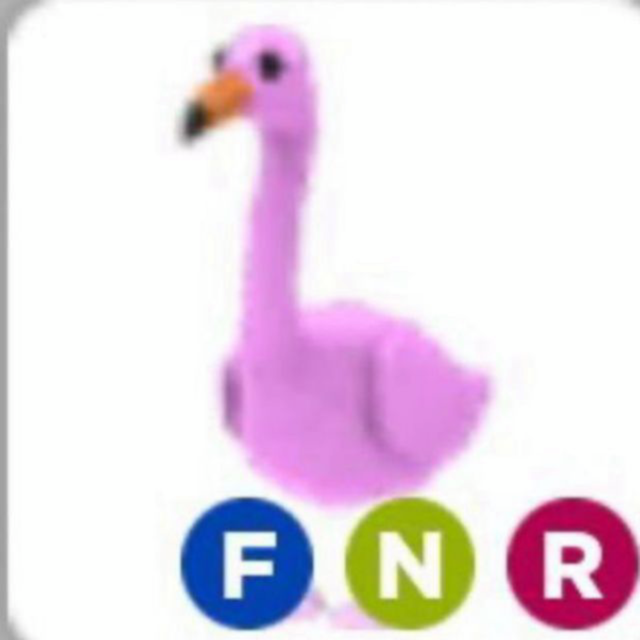 Pet | NFR FLAMINGO - Game Items - Gameflip