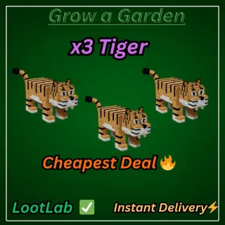 x3 Tiger