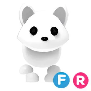 arctic fox