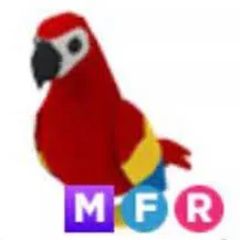 mfr parrot