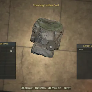 Traveling Leather Coat