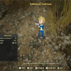 100 Bobblehead Small Gun