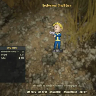 1k Bobblehead Small Guns