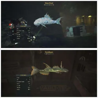 Glass Ghost/Fernskipper