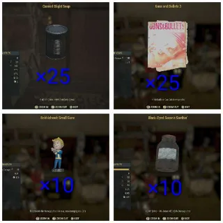 Ballistic Damage Bundle