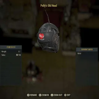 Polly's Old Head