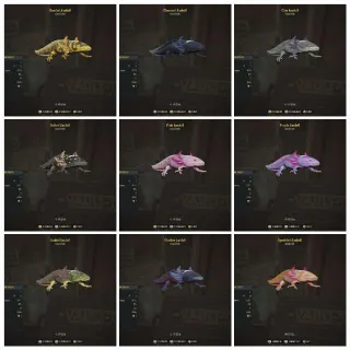 Complete Axolotl Set