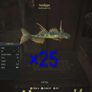 Fernskipper ×25
