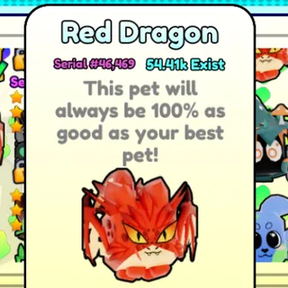 Pet World Red Dragon