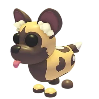 african wild dog fr