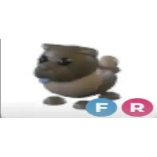 FR CHOCOLATE CHOW CHOW