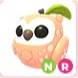 NR PEACH OWL NR