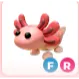 FR AXOLOTL CHEAP