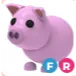 FR PIG