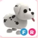 FR DALMATIAN +10 ENDANGERED EGG